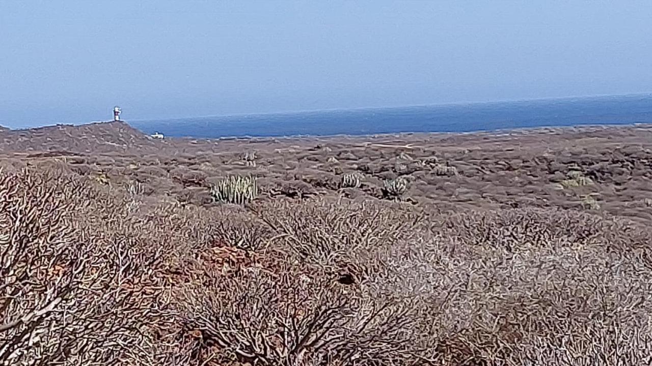 Paraiso Del Palm Mar エクステリア 写真